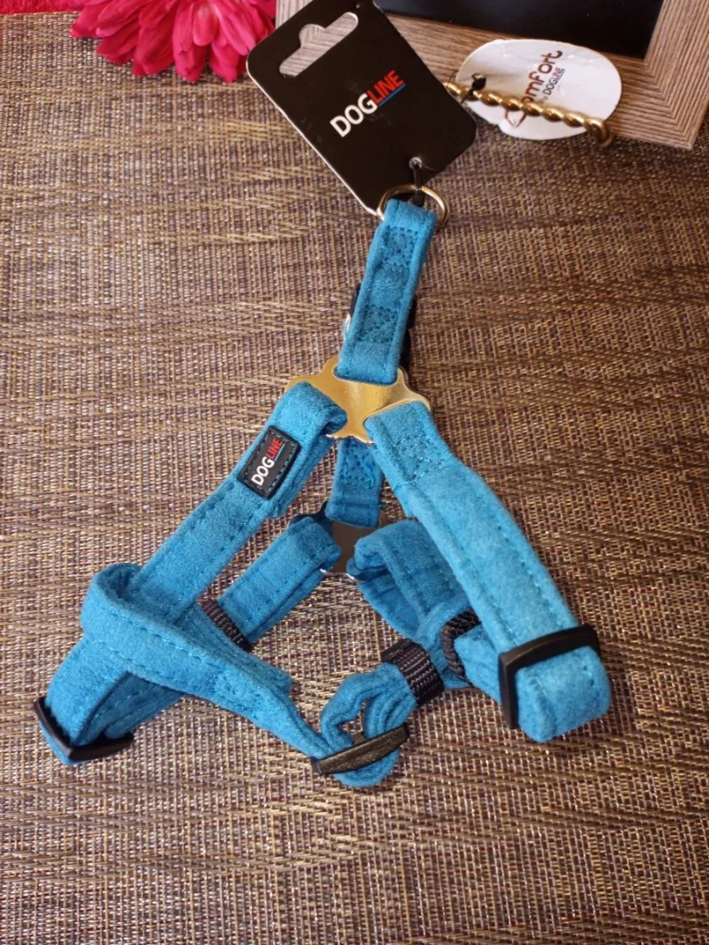 bundle for small dog or cat